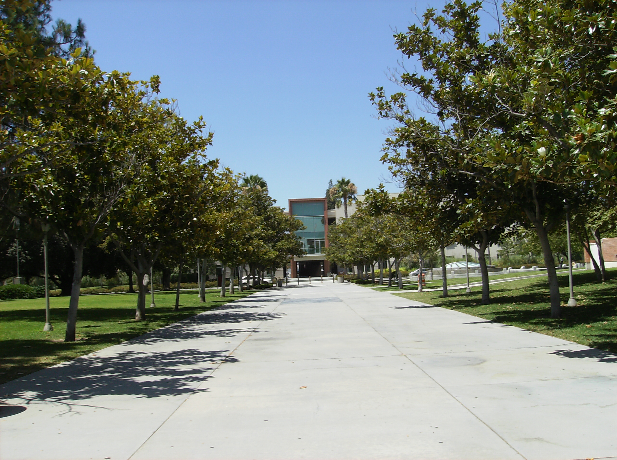 CSUN campus
